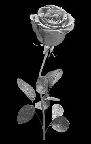 Цветок 015 (роза)